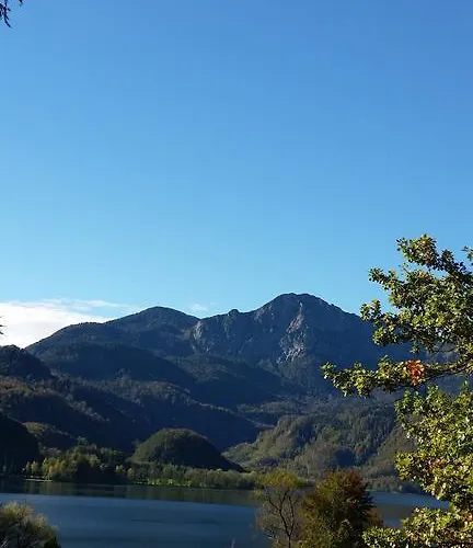 Alpenpark 코헬