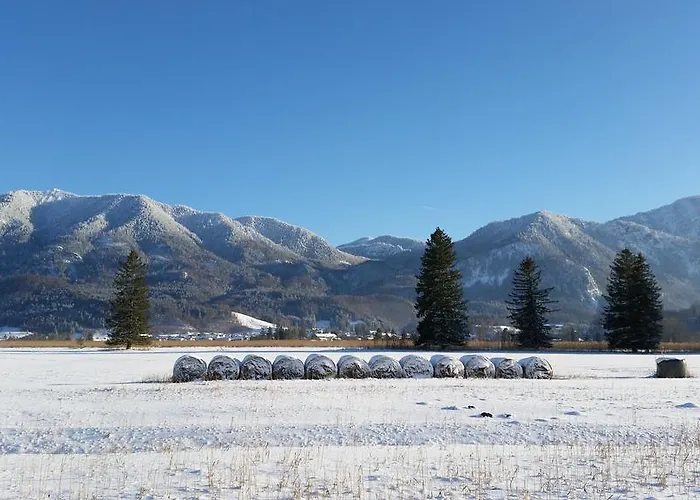 Alpenpark 4*