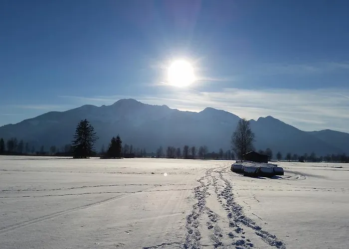 Alpenpark 4* 코헬
