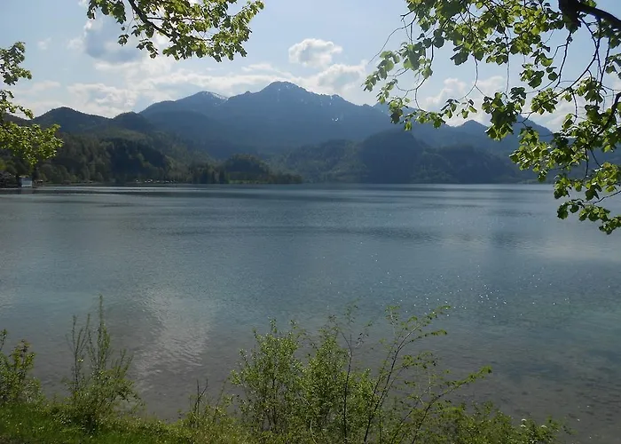 Alpenpark 코헬
