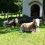 Alpenpark Hotel apartamentowy 4*