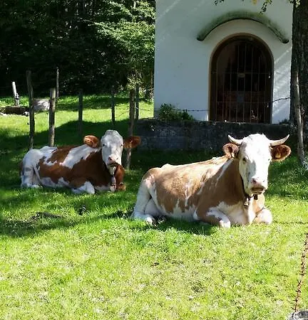 Alpenpark Aparthotel 4*
