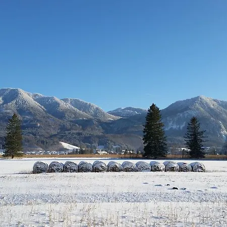 Alpenpark 4*