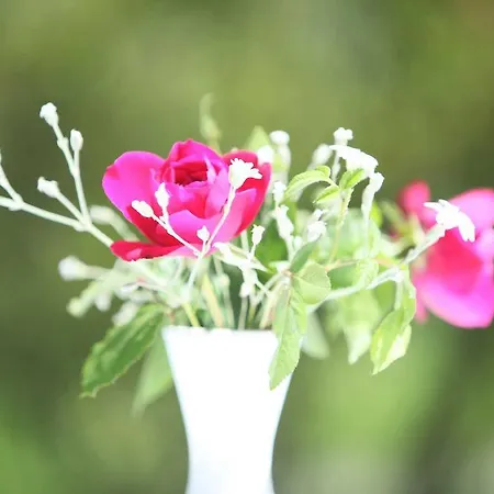アパートホテル Alpenpark