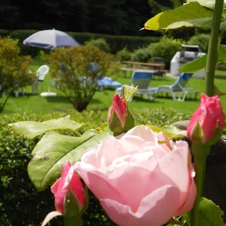 Alpenpark 4*